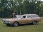 Buick Sport Wagon 1965 года